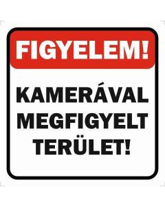 MATRICA KAMERÁVAL MEGFIGYELT TERÜLET 2., 10X10