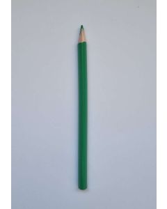 SZÍNES CERUZA CREATIVE JUNGLE, JUMBO HÁROMSZÖGLETŰ, HB, 3 MM, ZÖLD