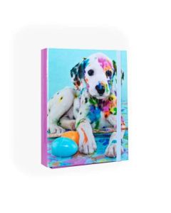 FÜZETBOX A/5, DALMATA