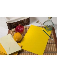 FÉNYMÁSOLÓPAPÍR A/4 80GR KASKAD REPCESÁRGA 100ÍV/CSOM